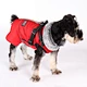 Dog Winter Wool-collared Cotton Jacket