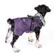 Dog Winter Wool-collared Cotton Jacket