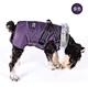 Dog Winter Wool-collared Cotton Jacket