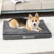 Autumn Winter Dog Beds