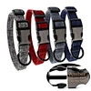 Pet Buckle Dog Collar