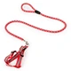 Nylon Dog Harness Vest