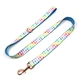 dog leash bow collar set