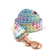 dog leash bow collar set
