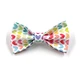dog leash bow collar set