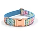 dog leash bow collar set