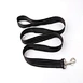 dog collar leash