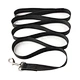 retractable pet leashes
