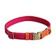 Dog Collars Color Matching Ribbon Braid