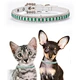 Dog Collar With Pearls