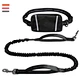 chain dog leash