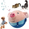 Pig Plush Sound Electronic Dog Toy