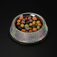 Removable Pet Food Bowl