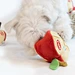 Apple shape cute soft  Dog Toy