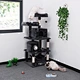 Cat Tower Tree
