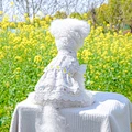 Dog Lovely Summer Clothes