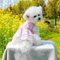 Dog Lovely Summer Clothes