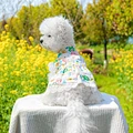 Dog Lovely Summer Clothes