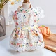 Dog Lovely Summer Clothes