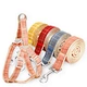 Cat Harness Leash