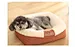 sofá-cama para animais de estimação
