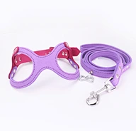 Dog Harness