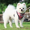 Dog Harness and Leash Set