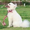 Dog Harness and Leash Set