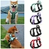 Vest Style Chest Strap Dog Harness