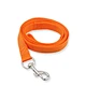 dog harness and leash