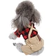 Dog Red Plaid Shirt Khaki Overalls