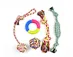 pet dog toys