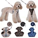 Pet harness with leash