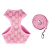 Pet harness with leash