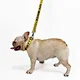 do not pet leash sleeve