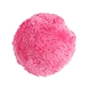 Automatic Pet Toy