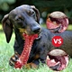 Dog Bones Long Lasting Interactive Durable Toys