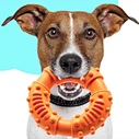 Doughnut Shape Throw Hoops Dog Chew Toy