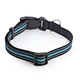 Reflective Double Bands Nylon Collar