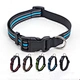 Reflective Double Bands Nylon Collar