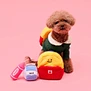 Hide And Seek Sniffing Plush Dog Toy