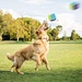 Cube Shape stuffed Soft Pet Toy