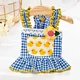 Vestido de gato xadrez com apliques de flores