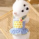 Vestido Flor de Gato em Padrão Xadrez