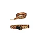 Dog Fashion Harness Leash Collar Set