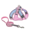 Pet mesh harness