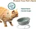Ceramic Oblique Feeding Bowl