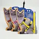 Small pet backpack and leash set