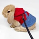 Collar ajustable para mascotas pequeñas
