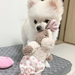Rabbit Squirrel Sleep Accompany Pet Toys